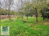 LAMBALLE photo